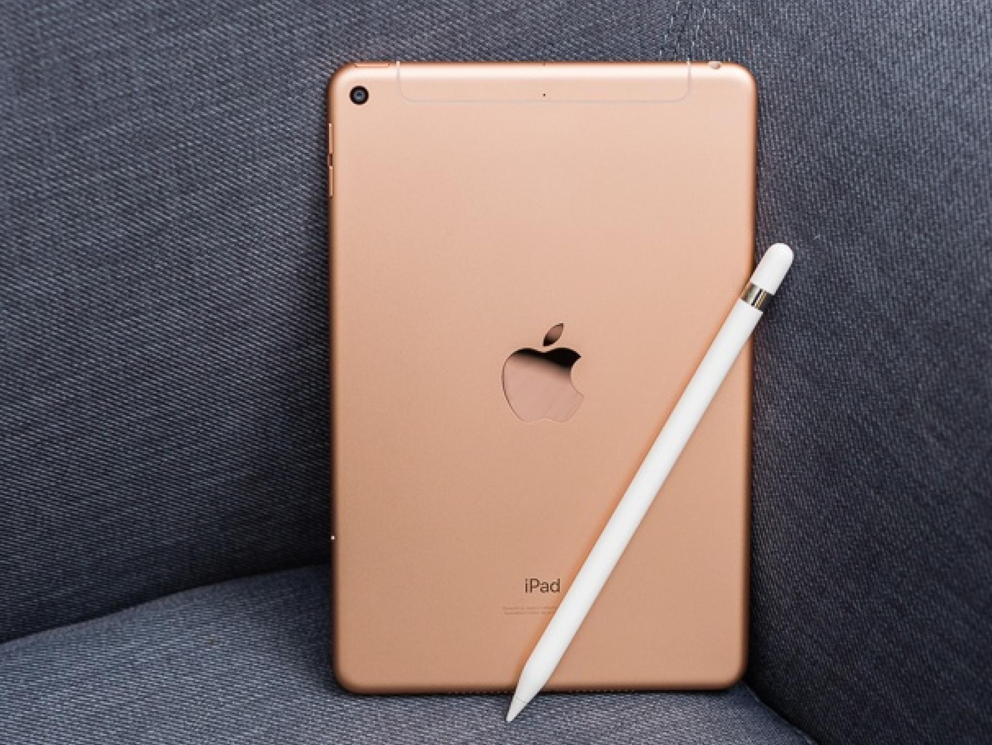 Эпл пенсил 1 поколение. IPAD Mini Apple Pencil. IPAD Mini 6 Apple Pencil. Айпад мини 5 и пенсил. Apple Pencil 2 и IPAD Mini 6.